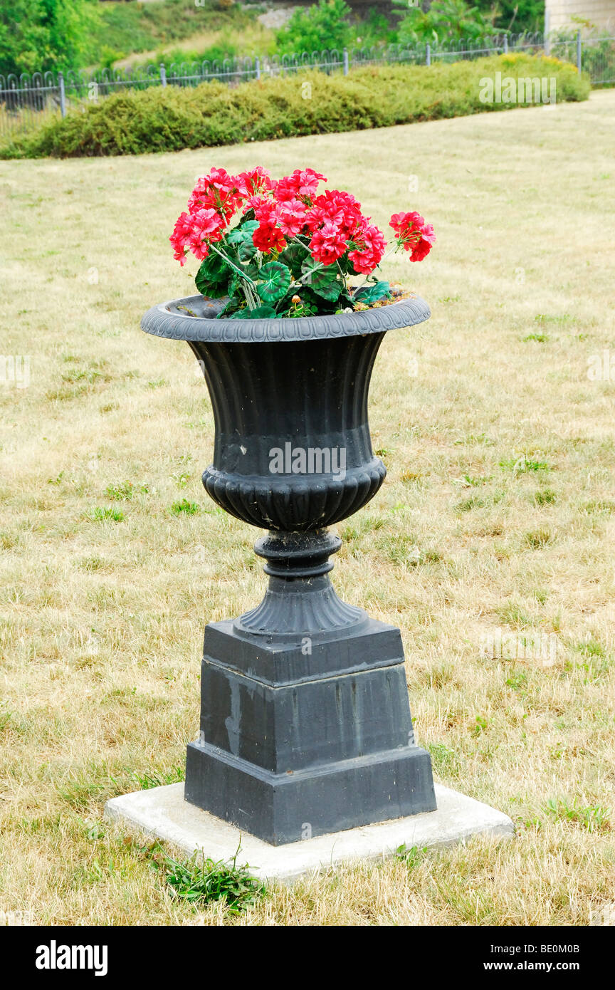 red flowers in vase at out door park Stock Photo