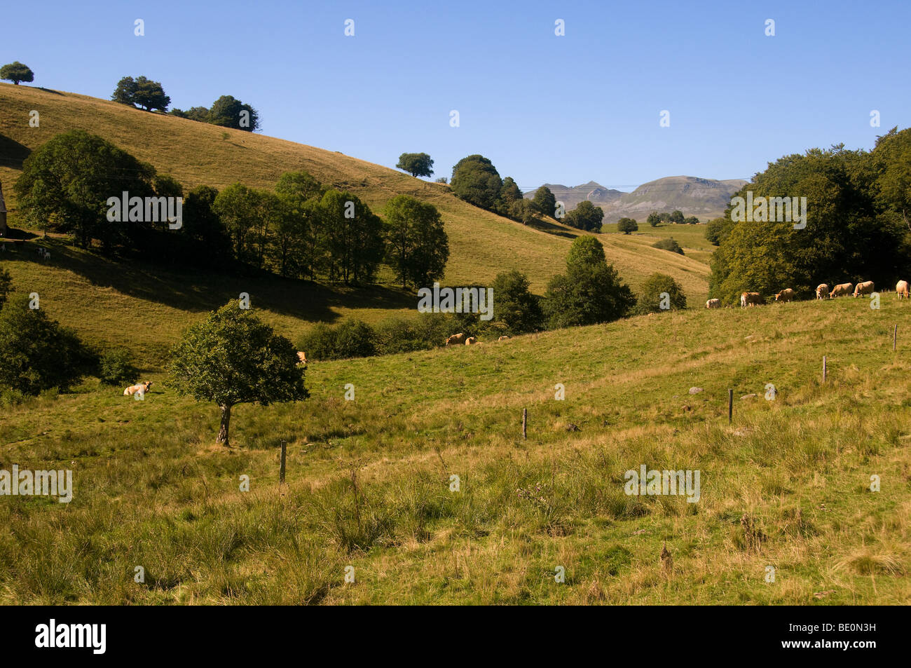Sancy landscape (Auvergne, France) Stock Photo