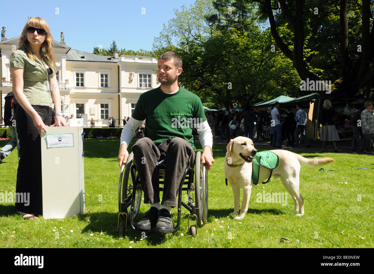 A Dog How To Help Disabled Person