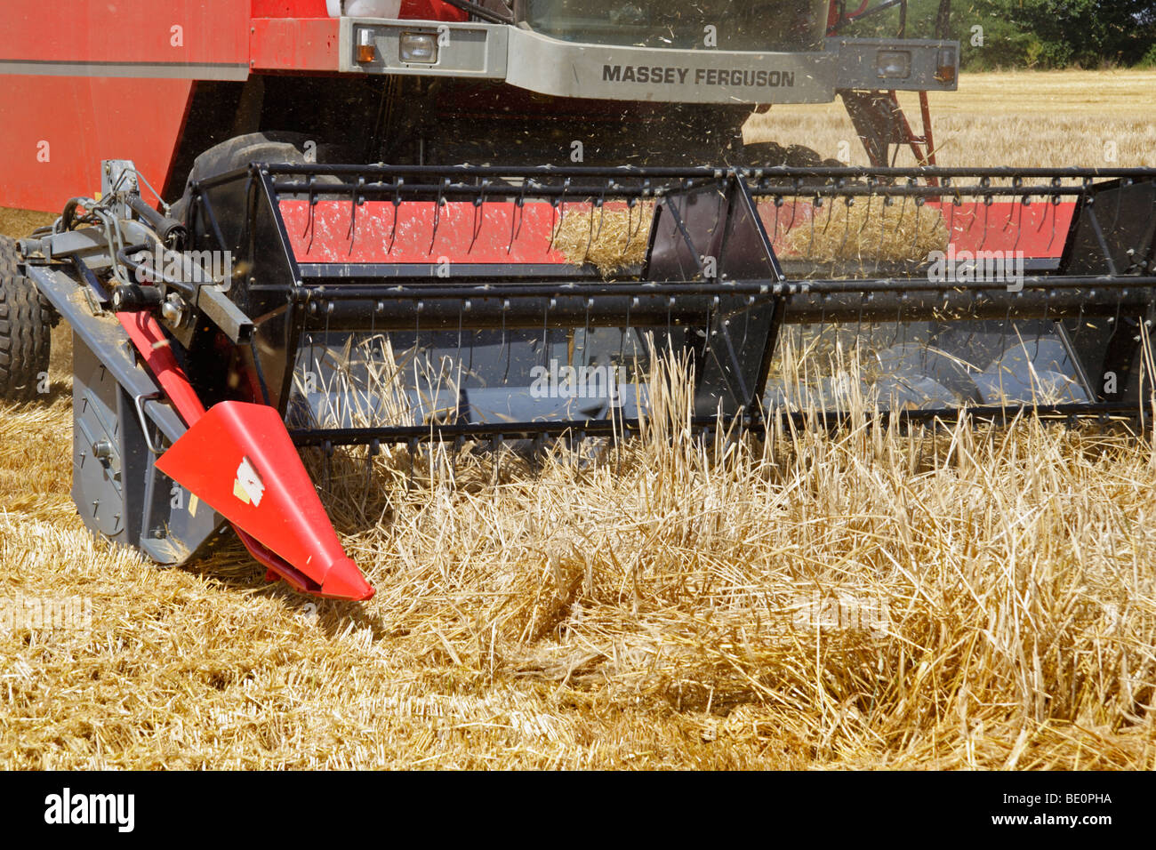 Combine harvester at work showing the divider and pickup reel Stock