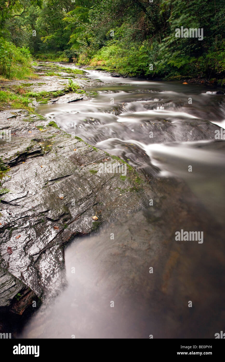 river valency; near boscastle; cornwall Stock Photo