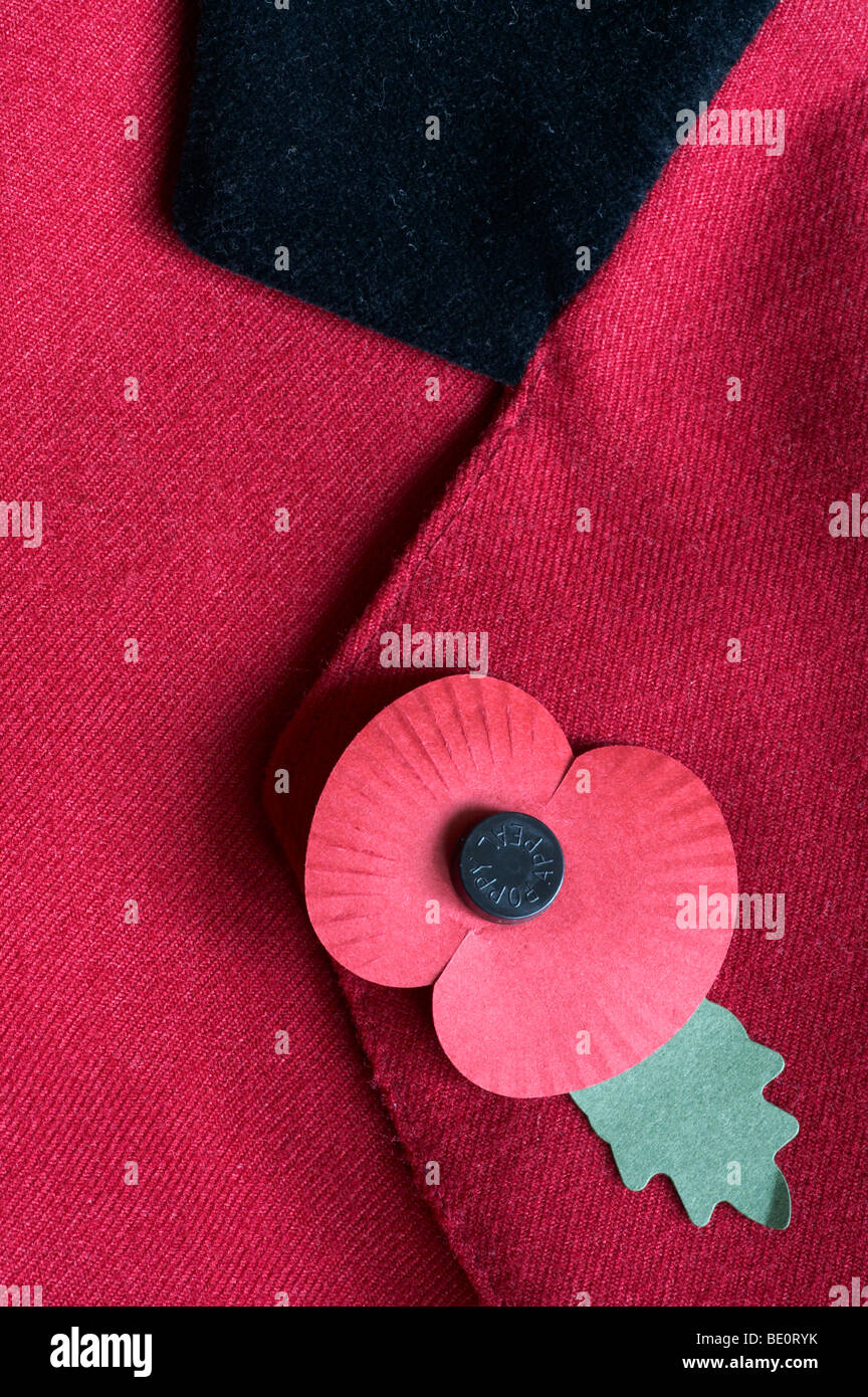 RED POPPY WORN ON JACKET LAPEL AS A SIGN OF RESPECT FOR REMEMBRANCE DAY Stock Photo