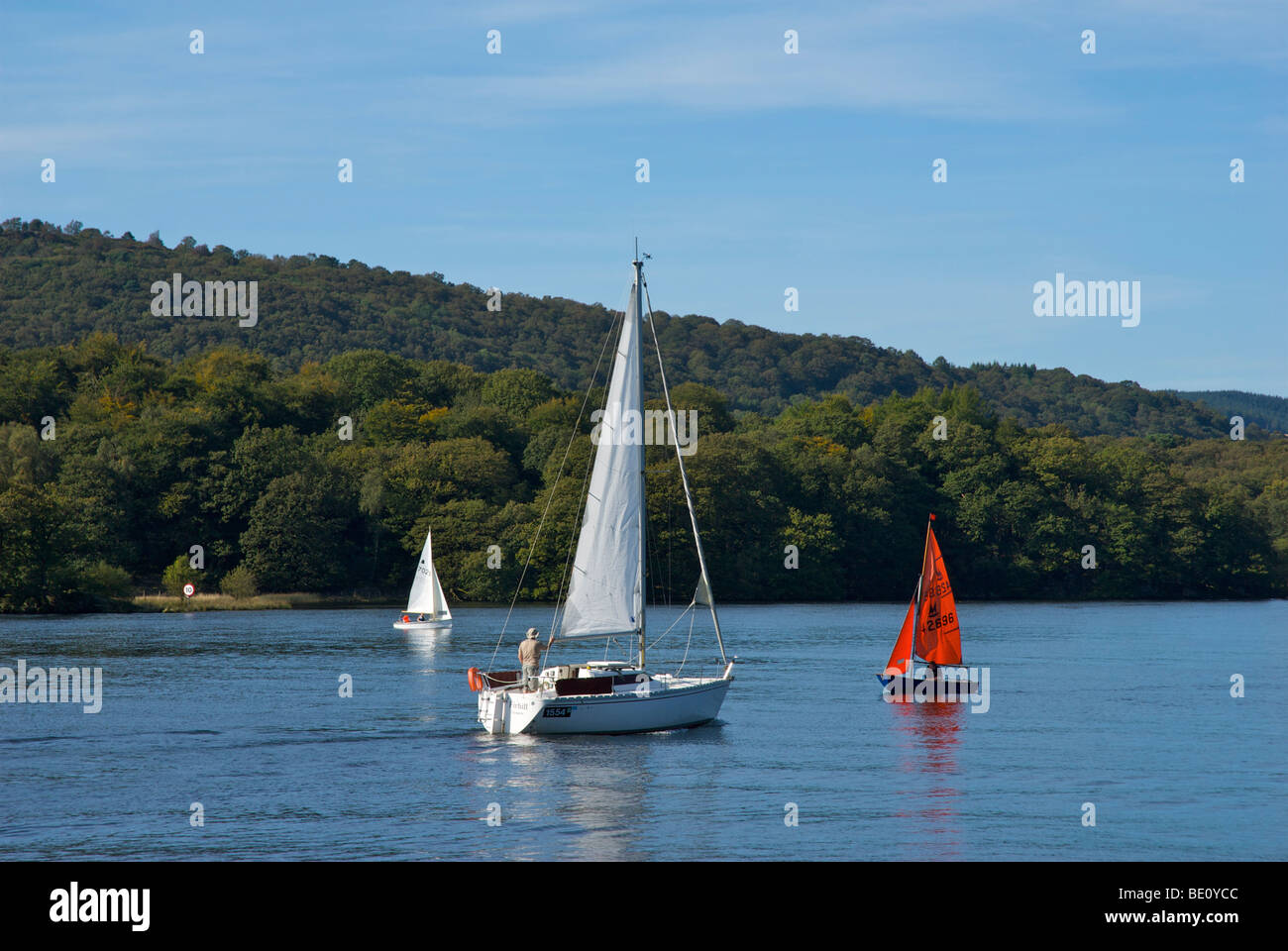 Sailing boats on Lake Windemere, Lake District National Park, Cumbria