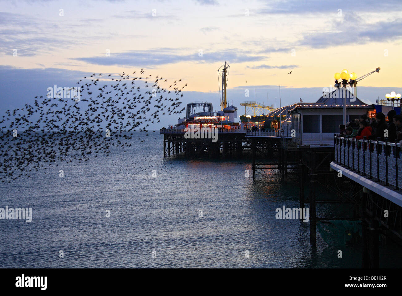 Starlings at dusk preparing to roost on Brighton Pier, Sussex, England, UK Stock Photo