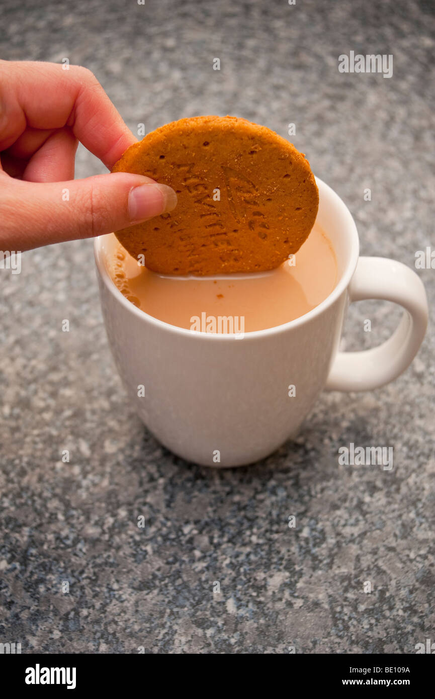 A close up of a person dunking a mcvities digestive biscuit in a cup of tea Stock Photo