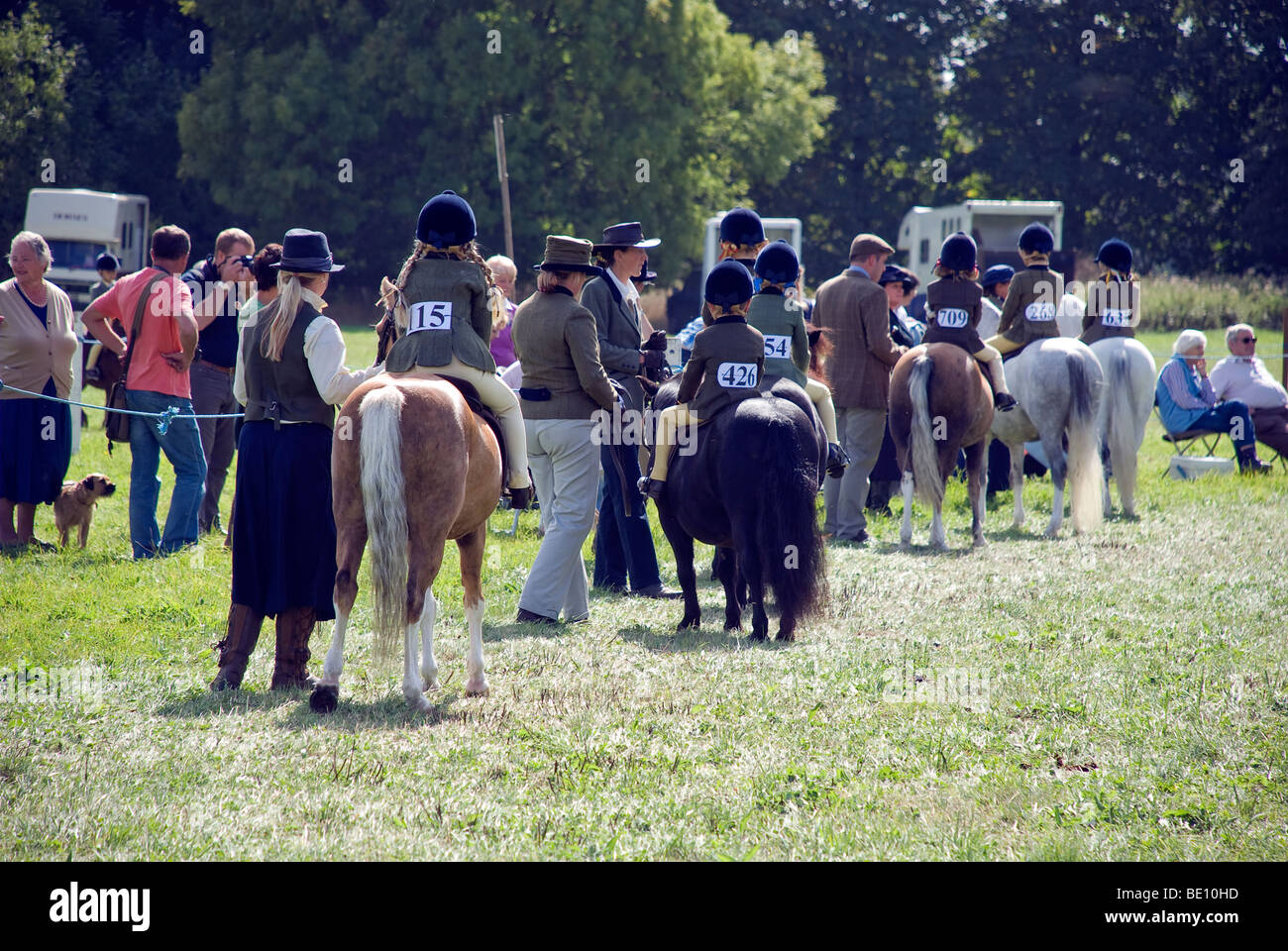 romsey show pony judging in show ring Stock Photo