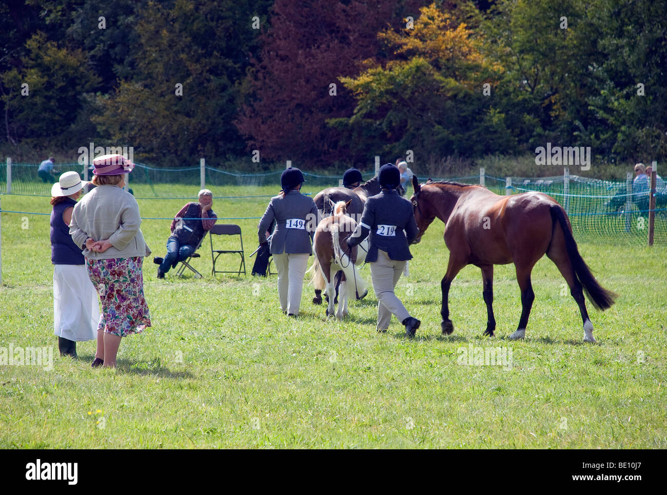 romsey show pony judging in show ring Stock Photo