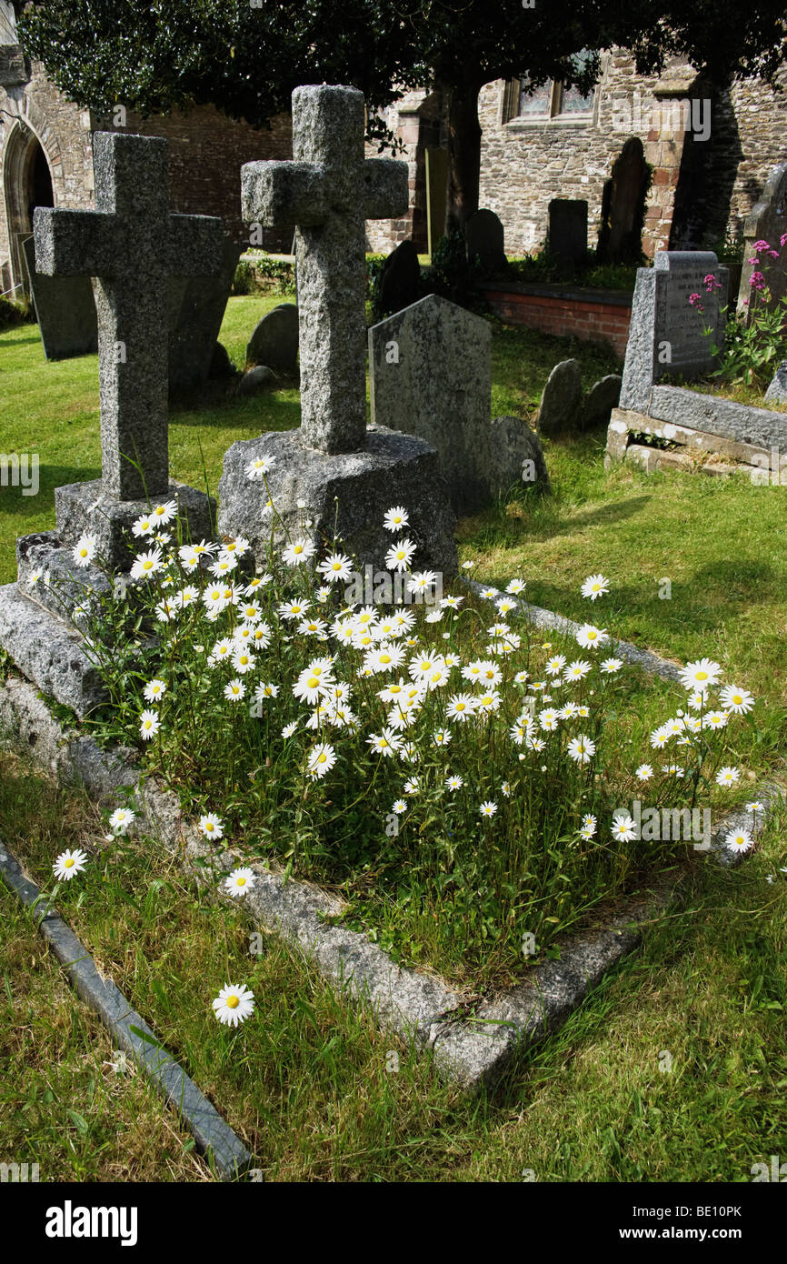 flowers on grave Stock Photo Alamy