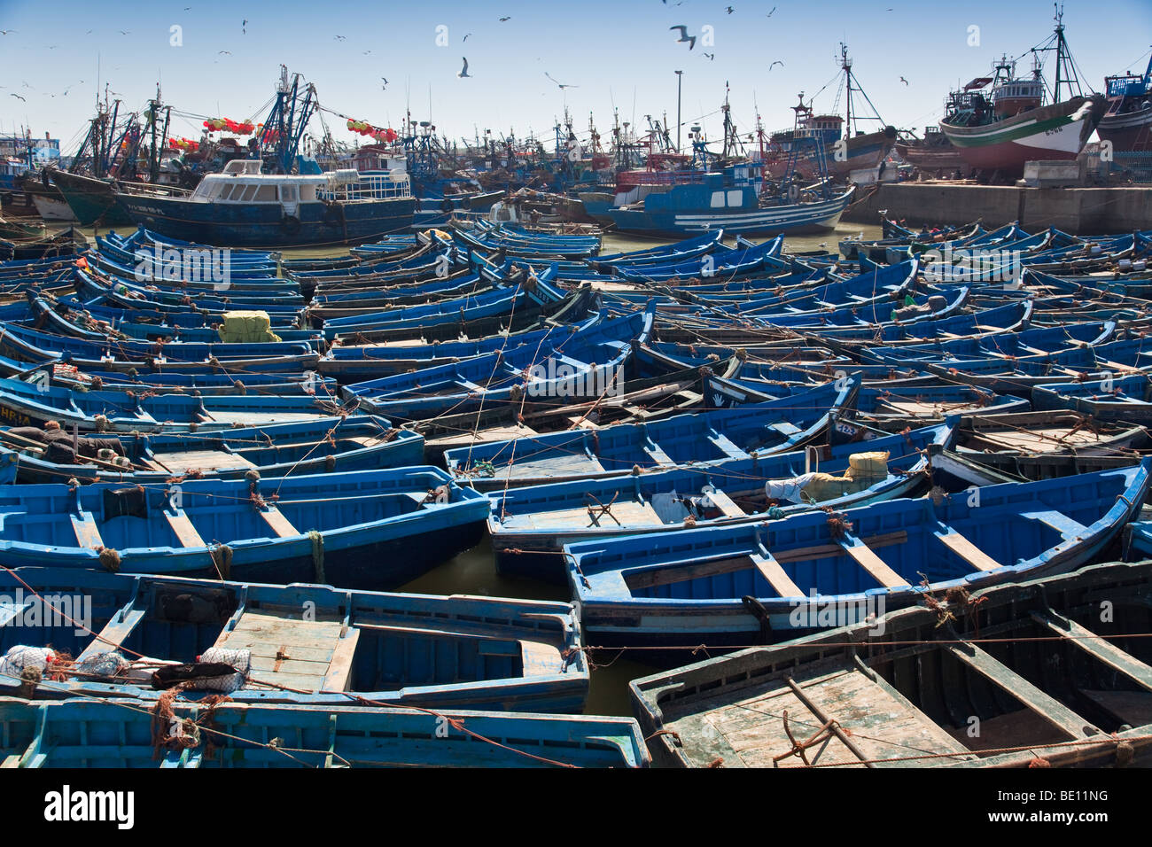 Blue fishing boats in the port of Essaouira in Morocco Stock Photo