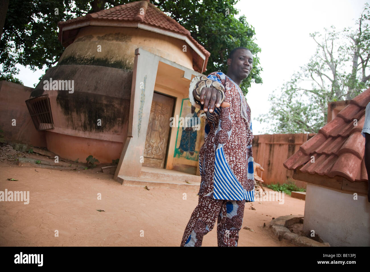 At the Temple of the Pythons in Ouidah, Benin, a man displays a python wrapped around his arm. Stock Photo