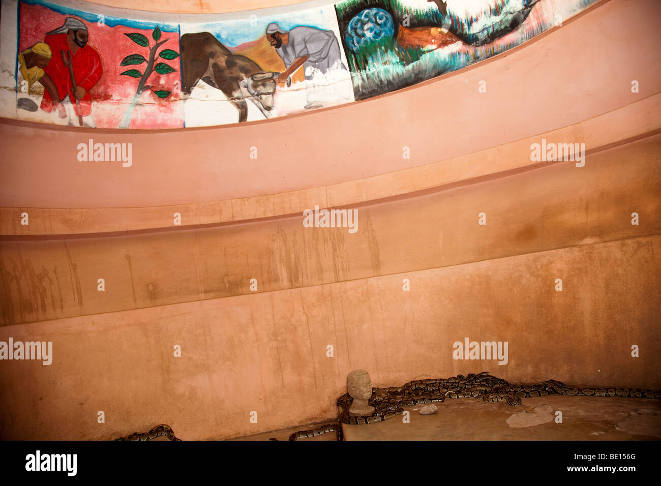 The Temple of Pythons in Ouidah, Benin is a small room housing 50 or so royal pythons. Stock Photo