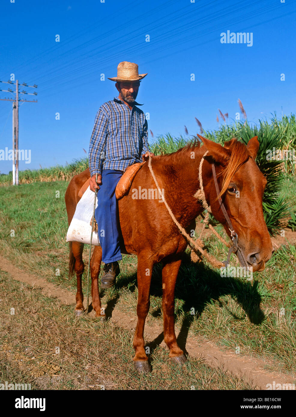Horse rider, Trinidad, Cuba Stock Photo