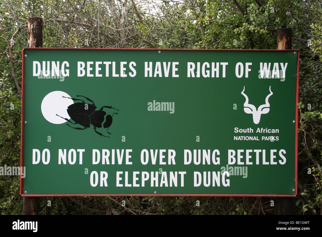 Dung Beetle Sign In Addo Elephant National Park, South Africa Stock Photo