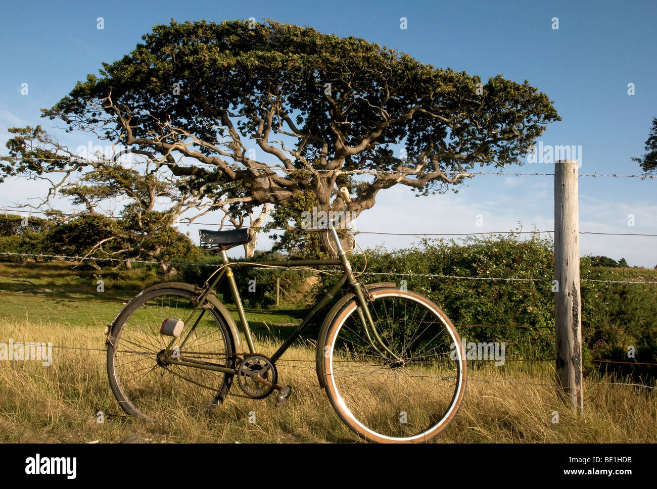 Old fashioned bicycle hires stock photography and images Alamy