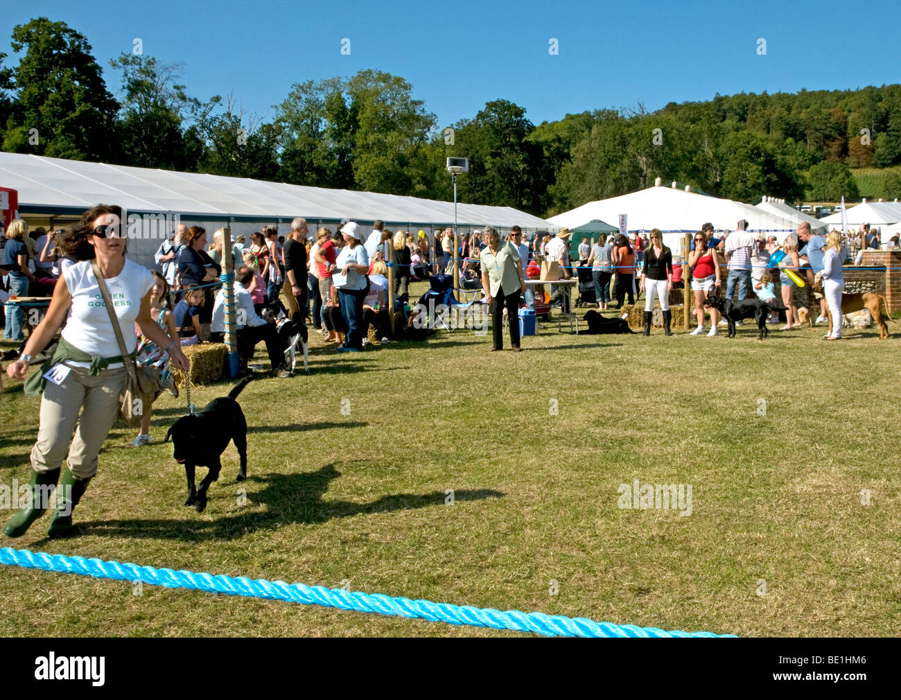The Henley Show ,dog class event Stock Photo