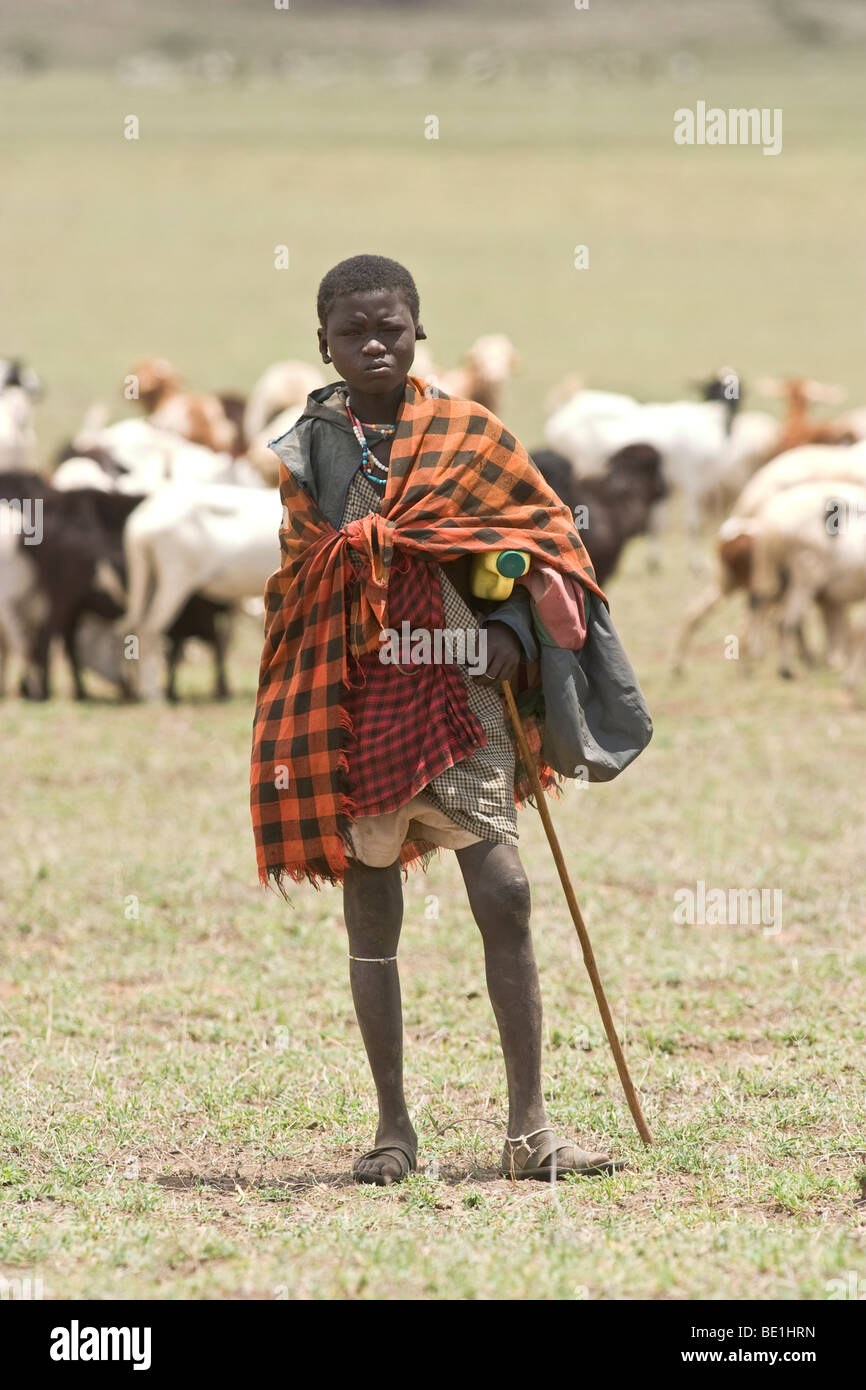 Masai herdsman, Tanzania Stock Photo