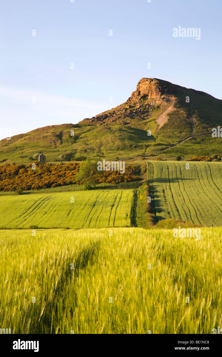 Roseberry Topping Great Ayton Yorkshire England Stock Photo Alamy