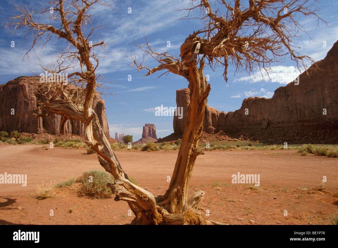 where in america is the grand canyon