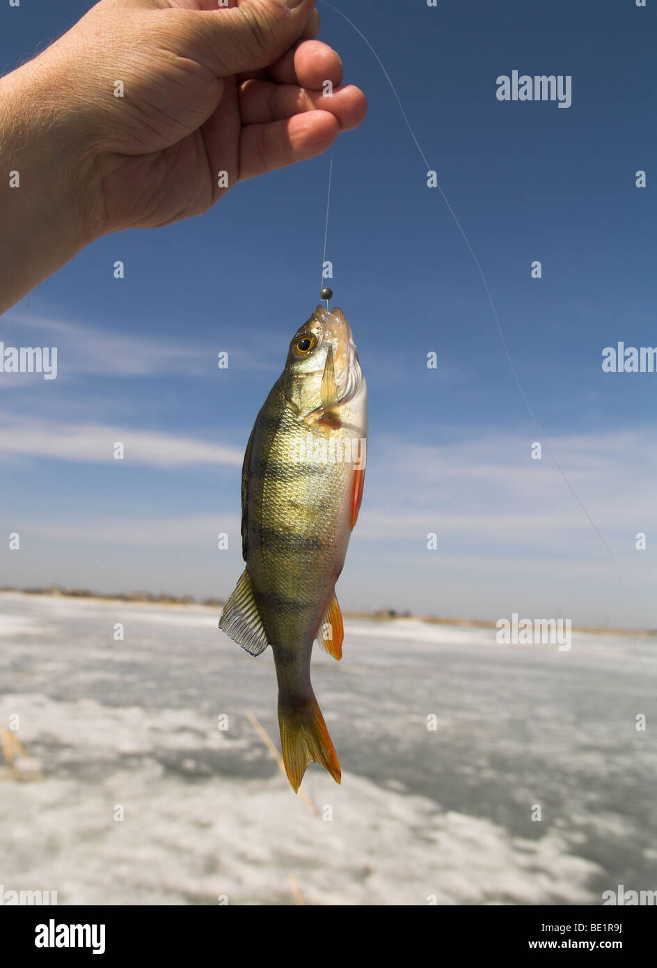 winter fishing Stock Photo