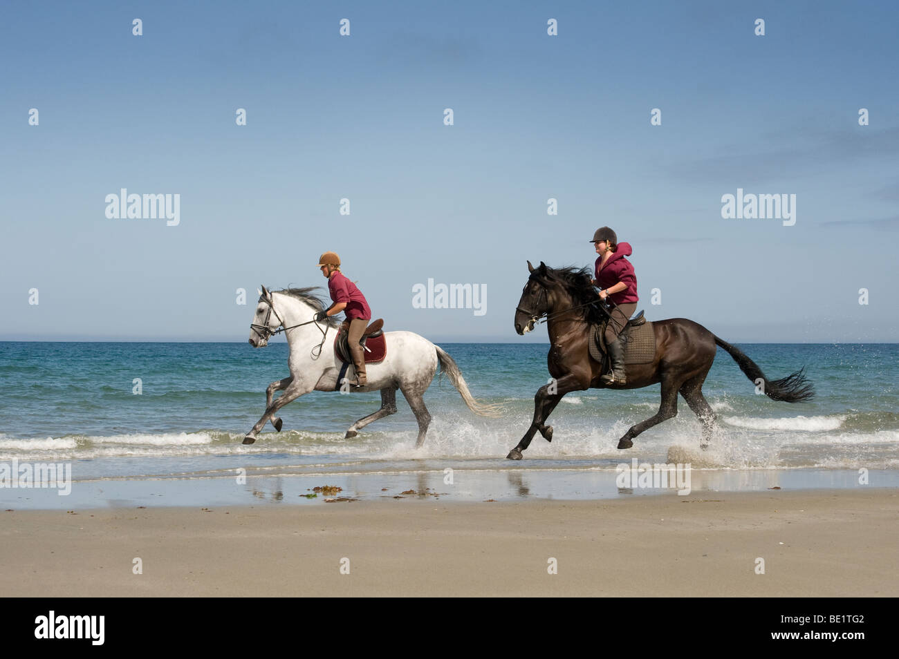 Women Riding Horses Along A Beach In Wales Stock Photo
