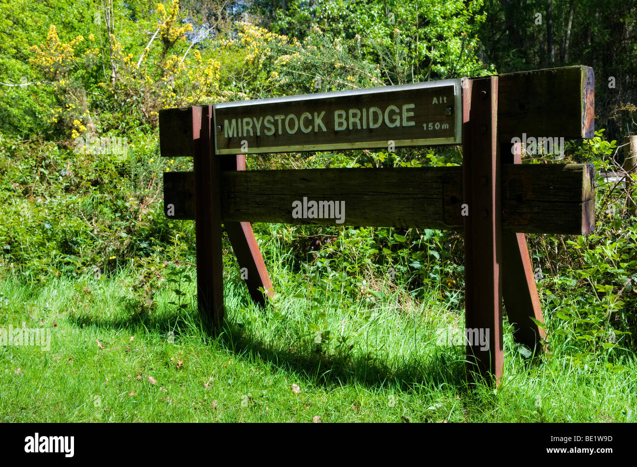 Mirystock Bridge wooden sign along footpath in Forest of Dean, Gloucestershire in Spring with lush green foliage Stock Photo