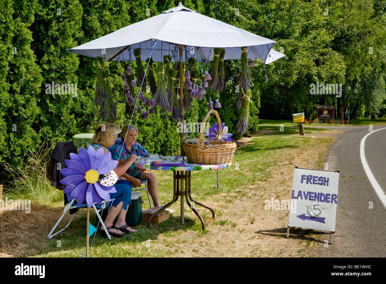 Two women selling fresh lavender near Columbia River Gorge, Oregon Stock Photo