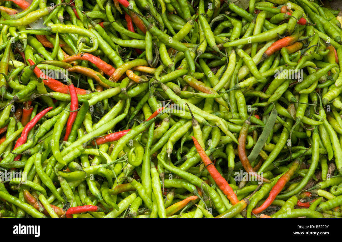 a pile of green and red peppers Stock Photo - Alamy