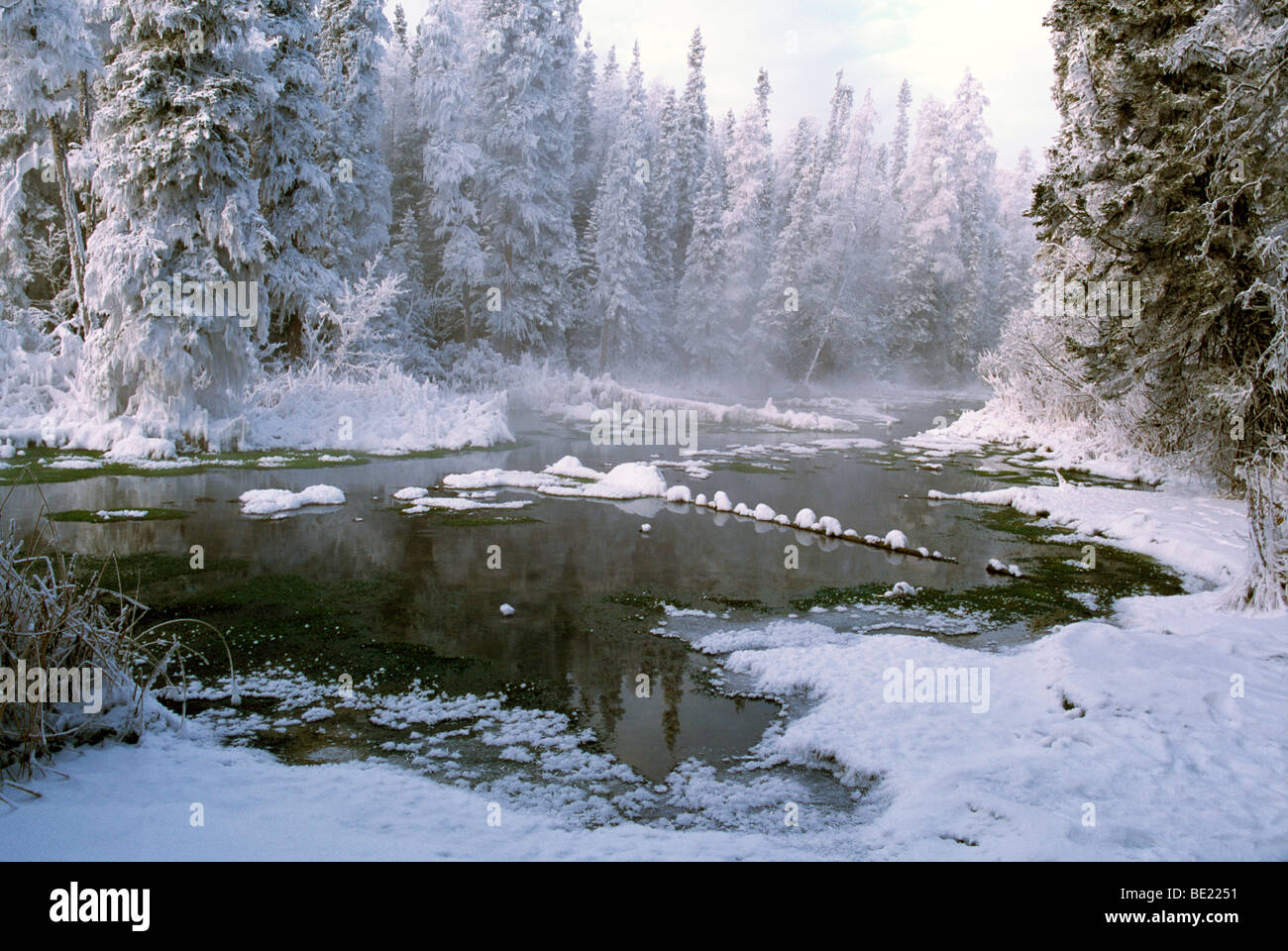 Liard River Hot Springs Provincial Park, Northern BC, British Columbia, Canada - Winter Setting of Frosted Trees in Warm Marsh Stock Photo