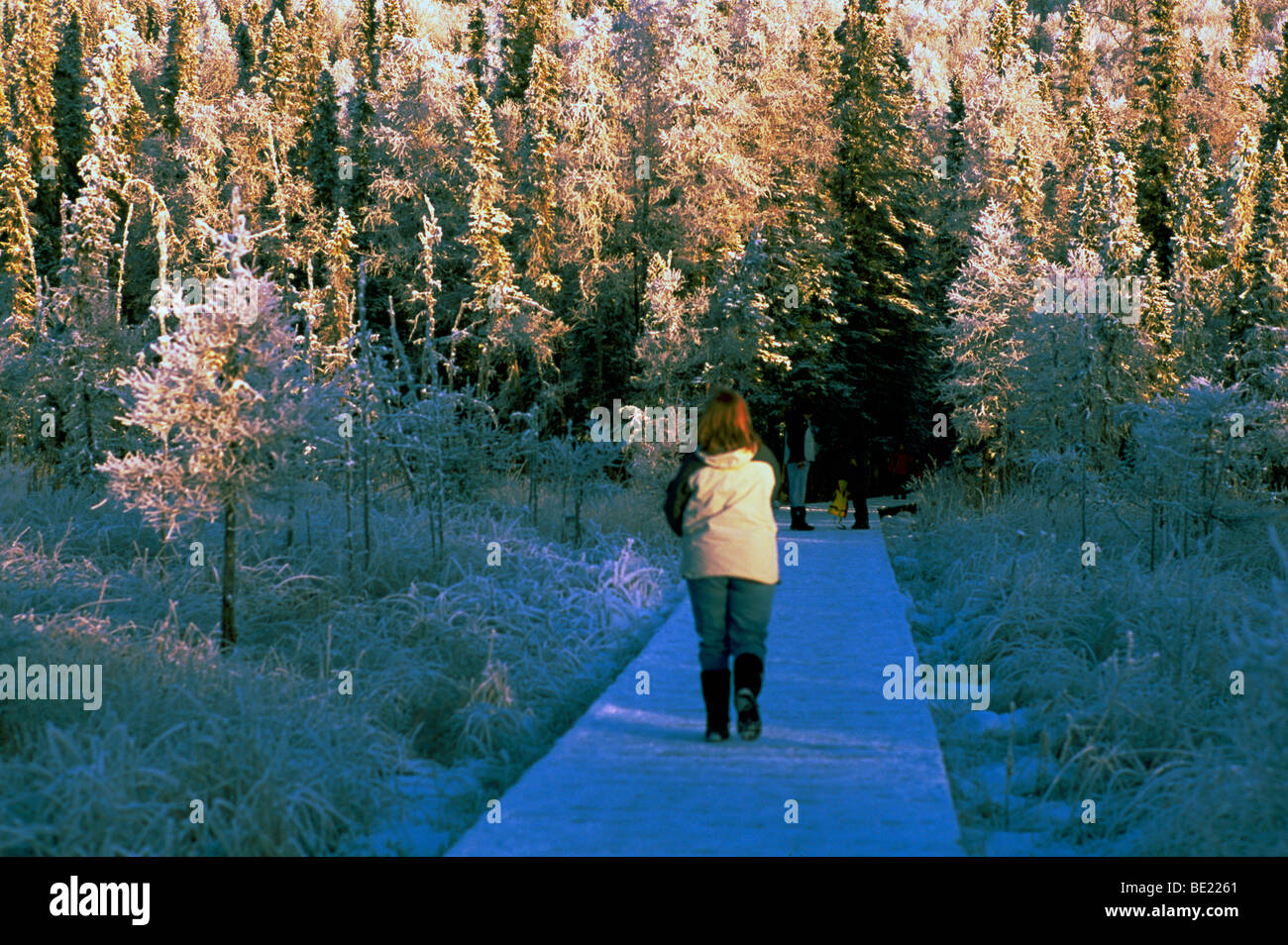 Liard River Hot Springs Provincial Park, Northern BC, British Columbia, Canada, Woman walking on Boardwalk to Hot Spring, Winter Stock Photo