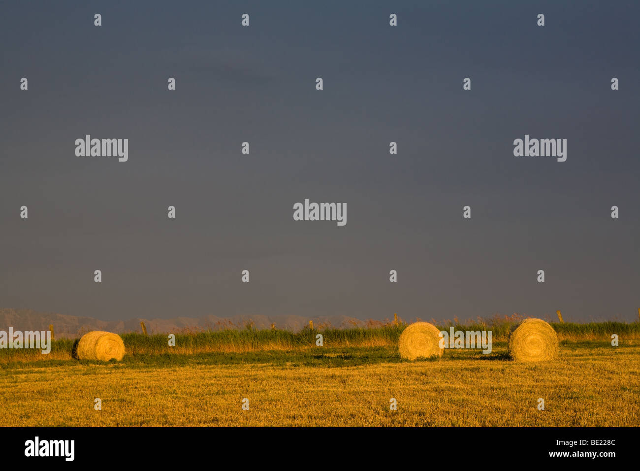 Bales of hay turned gold by setting sun in eastern Washington State Stock Photo