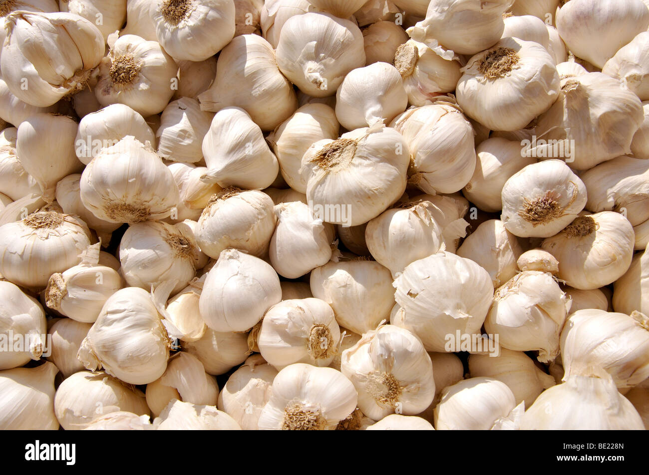 Garlic cloves, Saturday Market, Ostuni, Brindisi Province, Puglia Region, Italy Stock Photo
