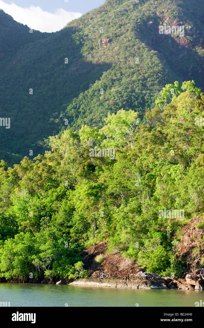 The Hinchinbrook Channel is a narrow passageway leading boats between