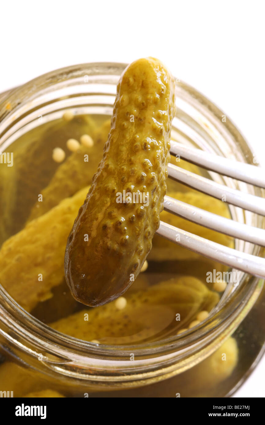 Jar Of Pickled Cornichon Gherkins In Vinegar With Mustard Seed Stock Photo Alamy Jar Of Pickled Cornichon Gherkins In Vinegar With Mustard Seed Stock Photo Alamy