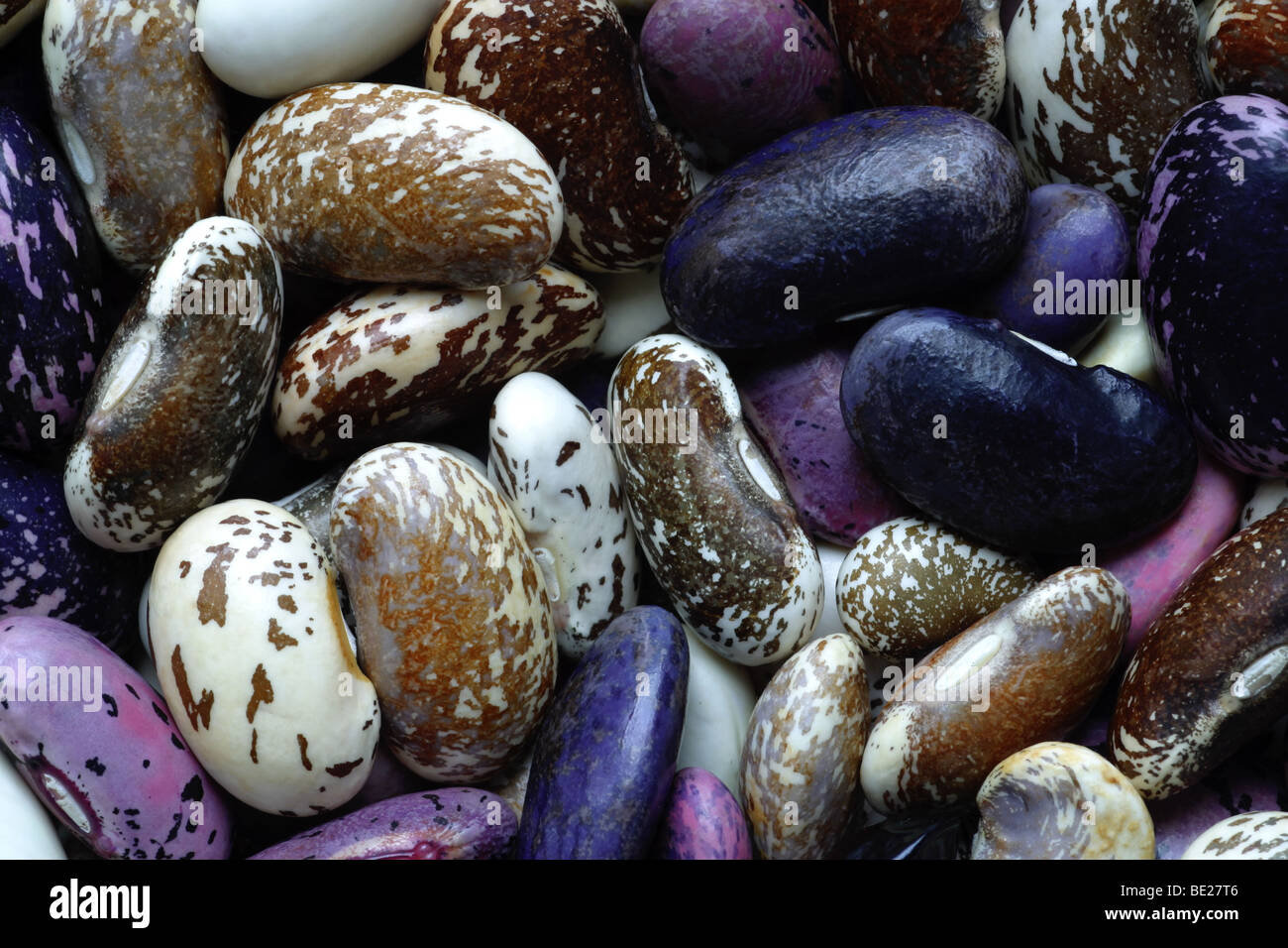 Various types of runner beans Stock Photo Alamy