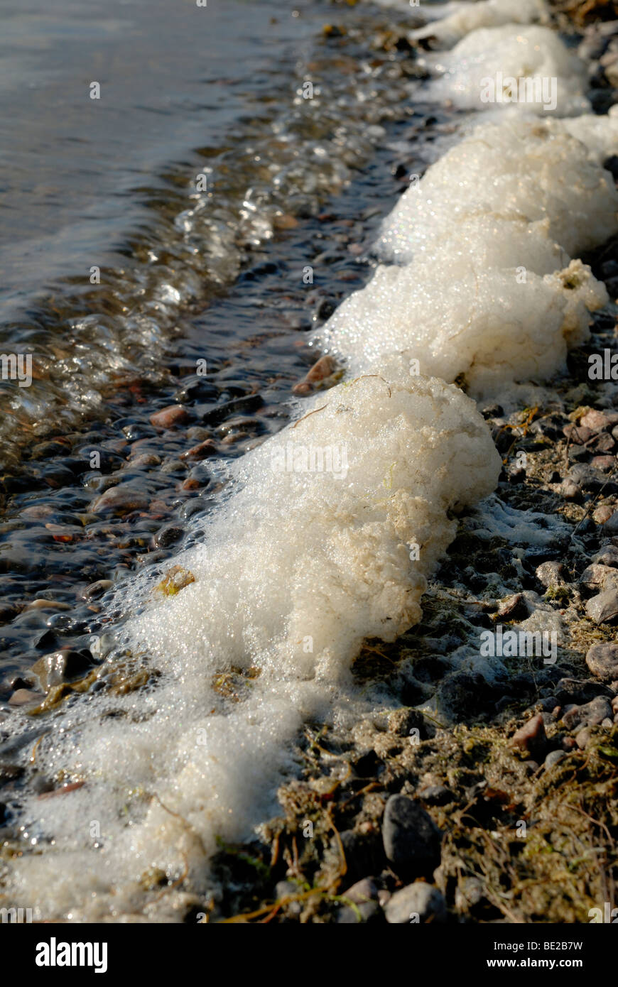 Sea scum hi-res stock photography and images - Alamy