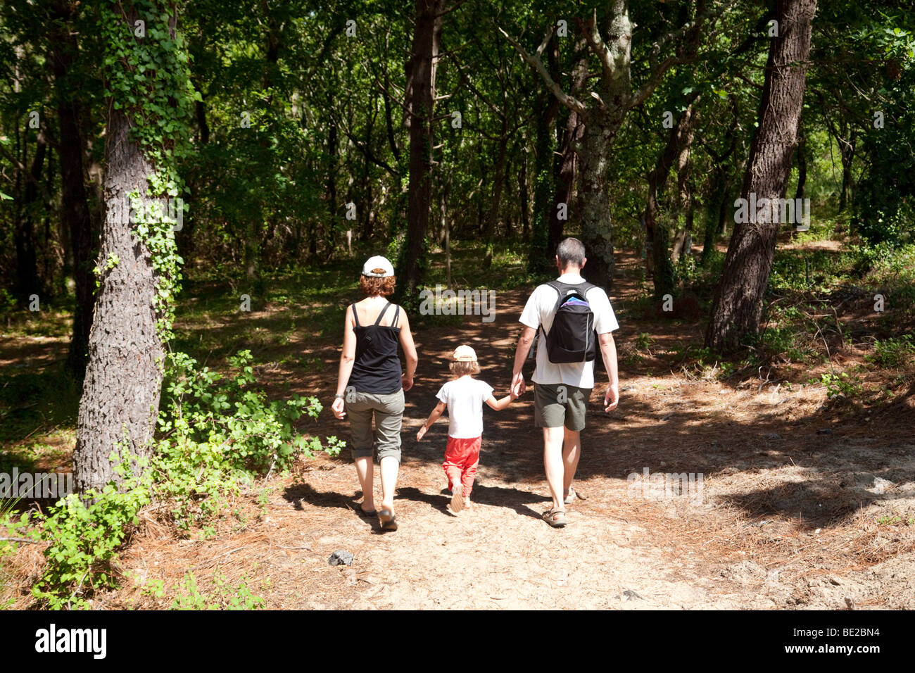 A family walking in the woods in the french countryside from the back; Aquitaine France, europe Stock Photo