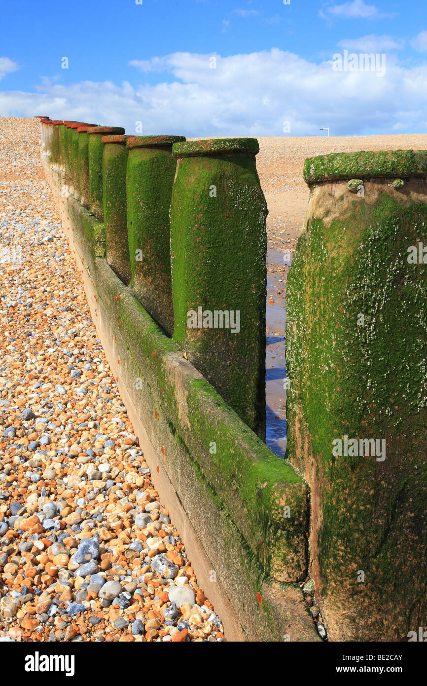 wooden groynes on the shingle beach in Eastbourne Sussex England Stock Photo