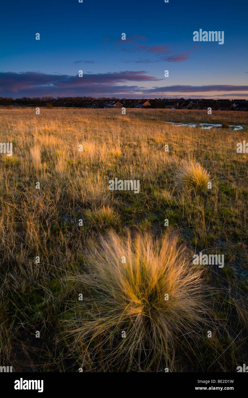 England, Tyne & Wear, Killingworth. The last rays of the setting sun