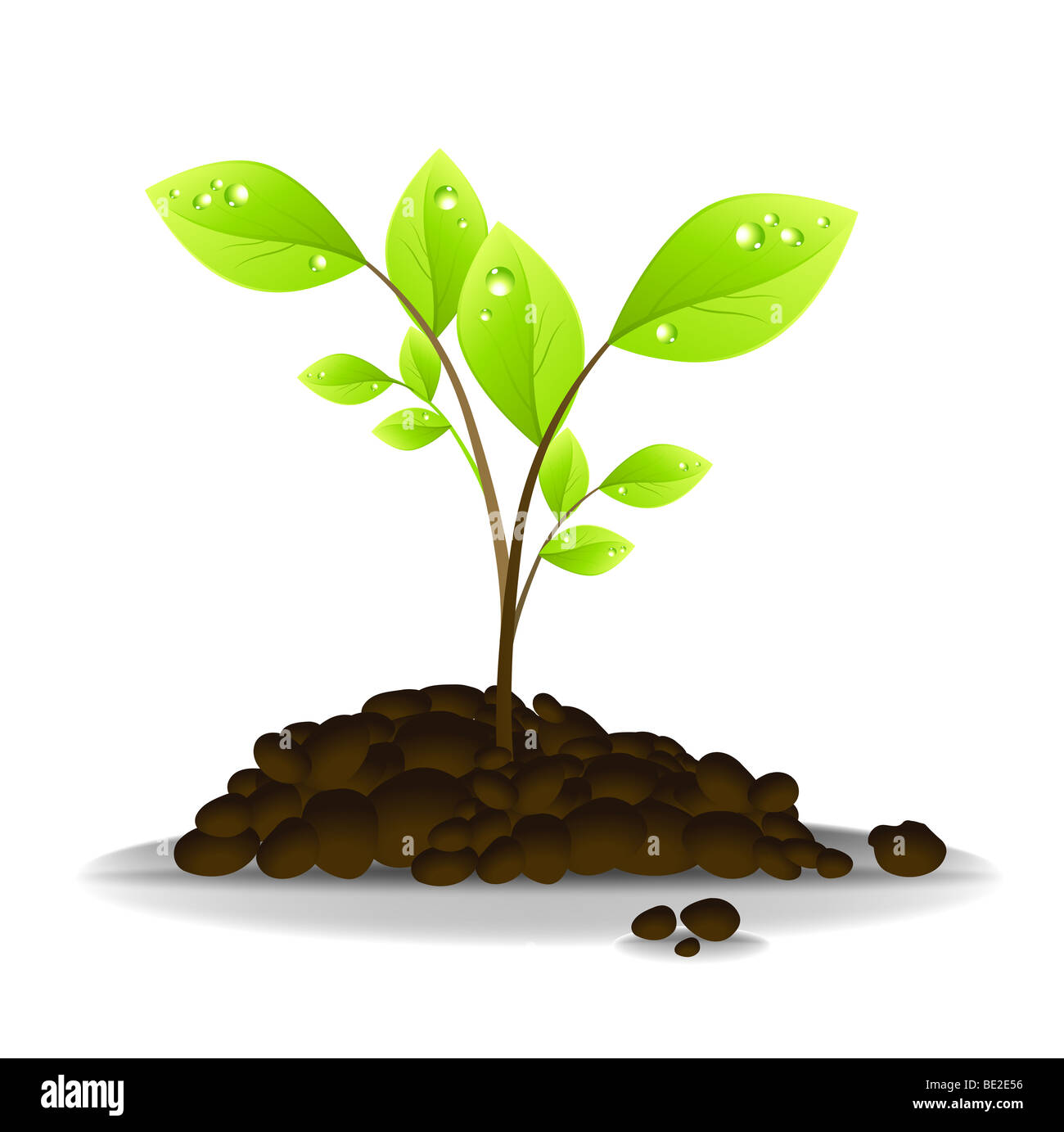 Growth Vector Illustration Concept Stock Photo Alamy Growth Vector Illustration Concept Stock Photo Alamy