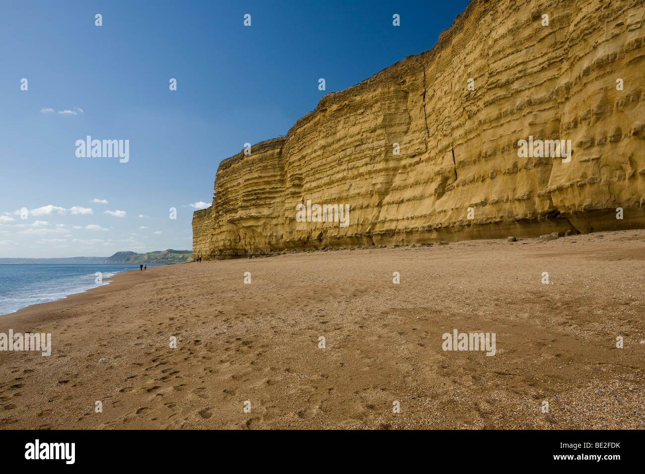 The beach and cliffs at Burton Bradstock on the jurassic coast of
