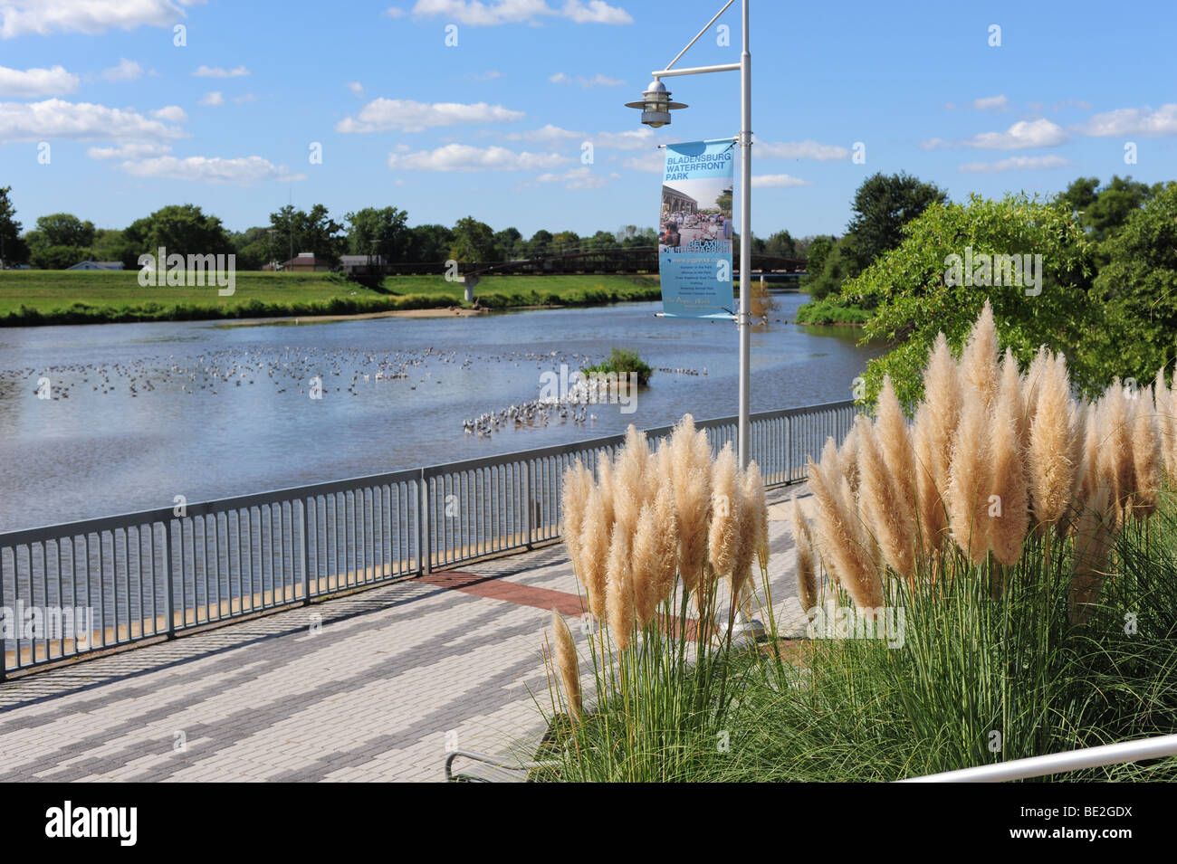 USA Maryland Bladensburg Anacostia River waterfront parkPrince