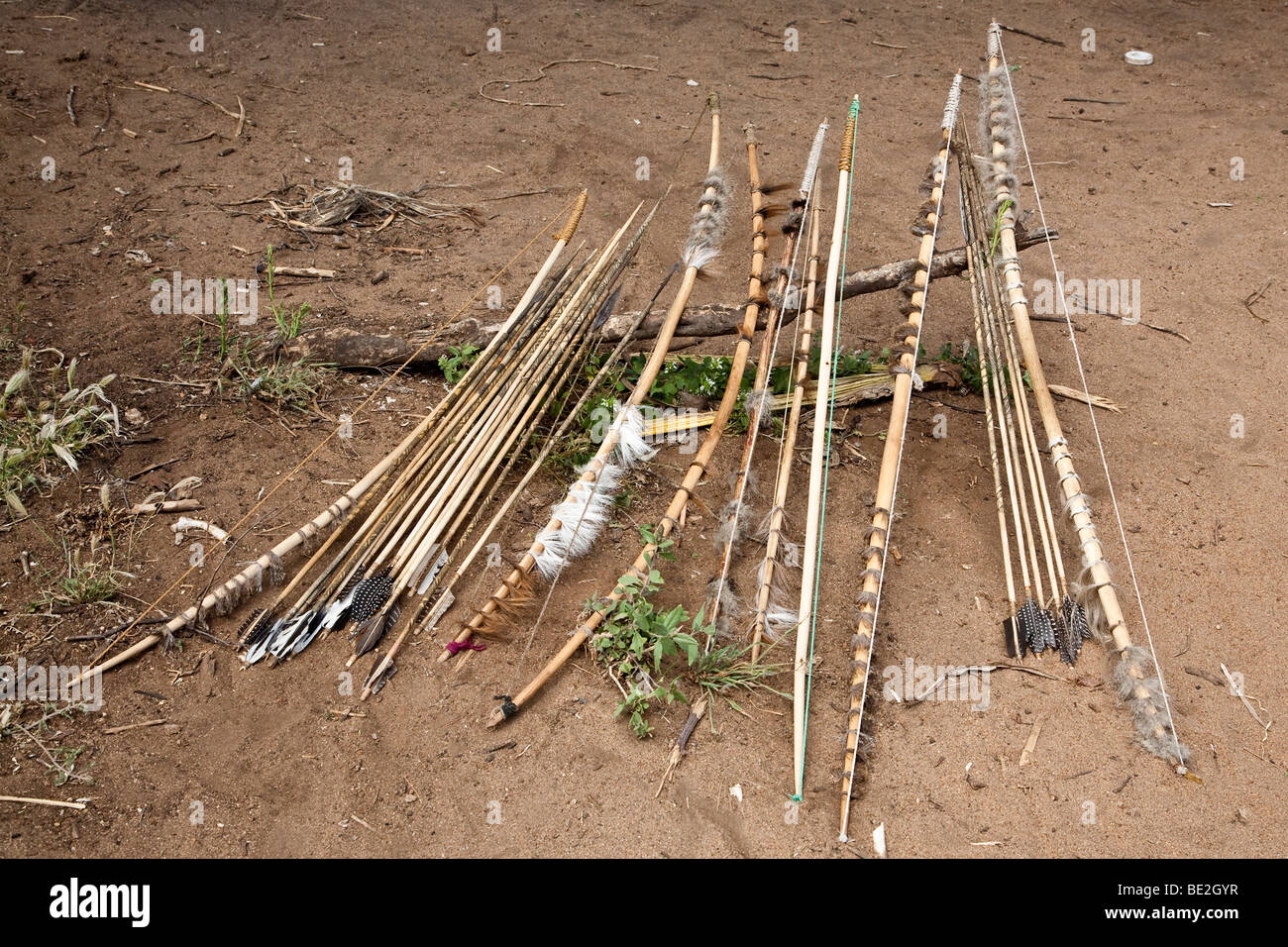 Hadzabe traditional bows and arrows Stock Photo