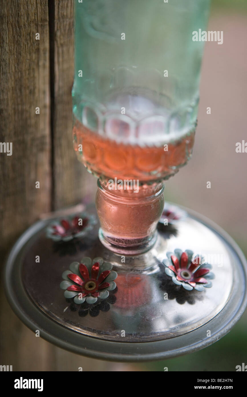 closeup of hummingbird feeder with sugar nectar Stock Photo Alamy