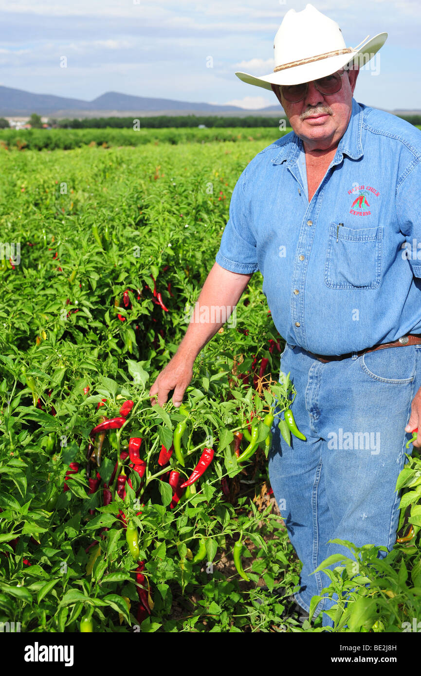 Hatch chile express hires stock photography and images Alamy