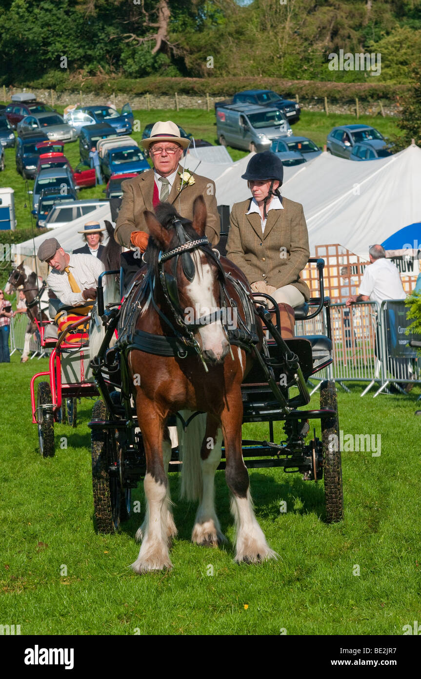 Horse and carriage driving at Westmorland County Agricultural show Stock Photo