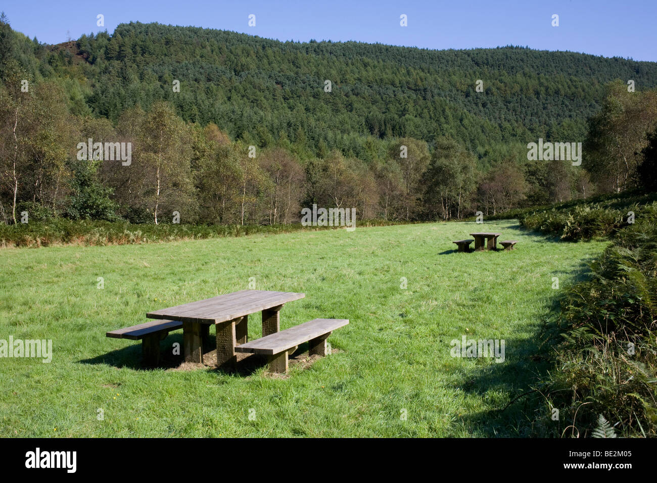 Afan forest park with picnic benches and tables in picnic area in