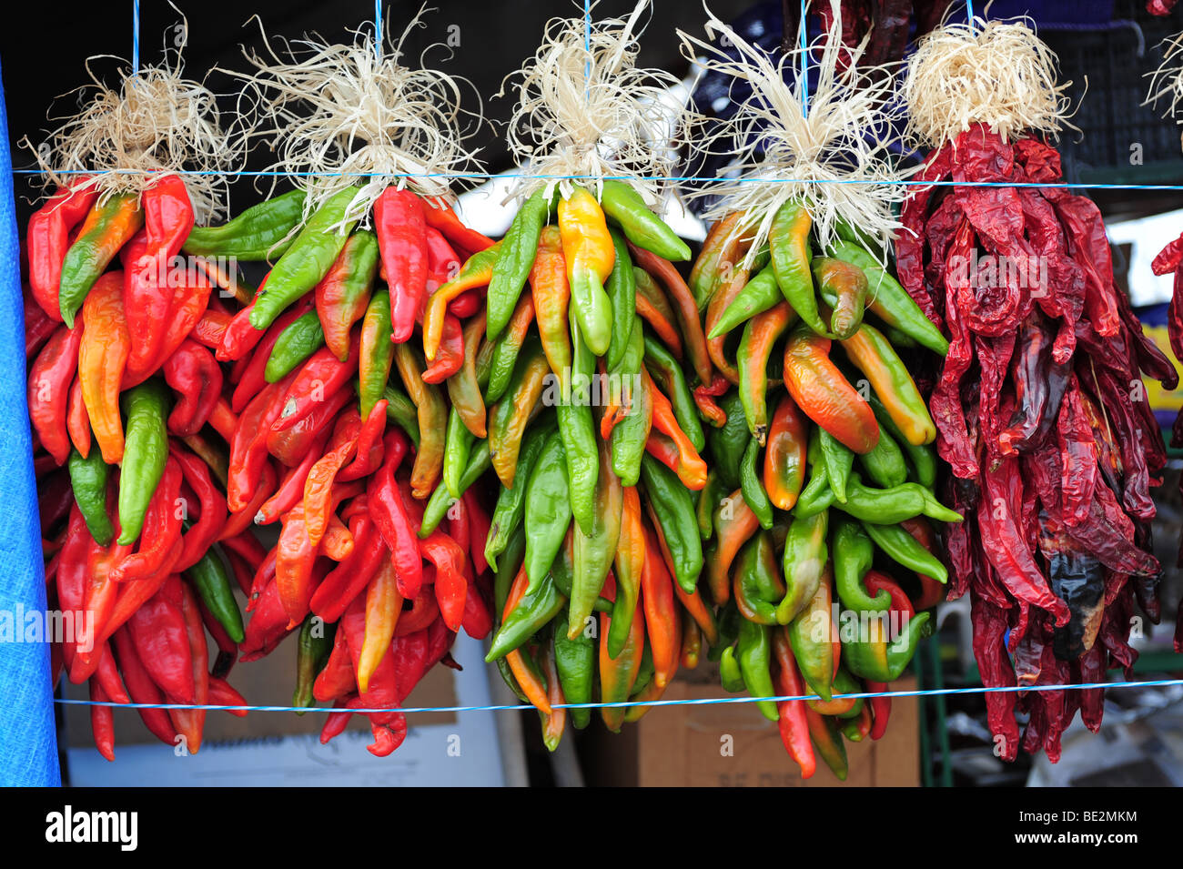 Usa hatch new mexico chile hires stock photography and images Alamy