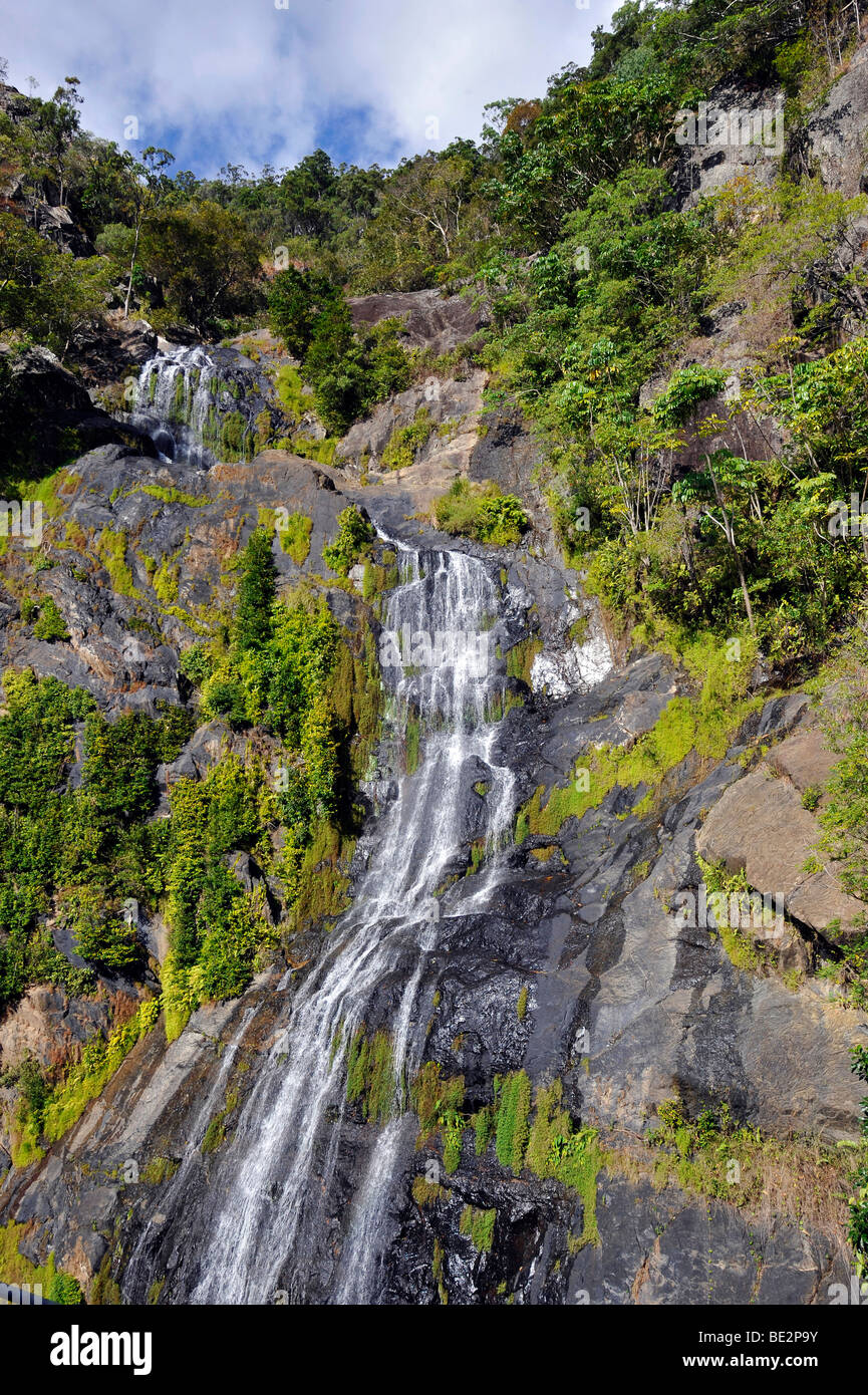 Stoney Creek Falls Rainforest Atherton Tablelands Queensland Australia Stock Photo Alamy Stoney Creek Falls Rainforest Atherton Tablelands Queensland Australia Stock Photo Alamy