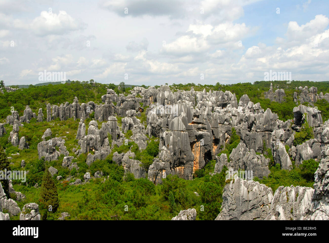 UNESCO World Heritage Site, rocks like sculptures, Karst topography, Shilin Stone Forest, Yunnan Province, People's Republic of Stock Photo