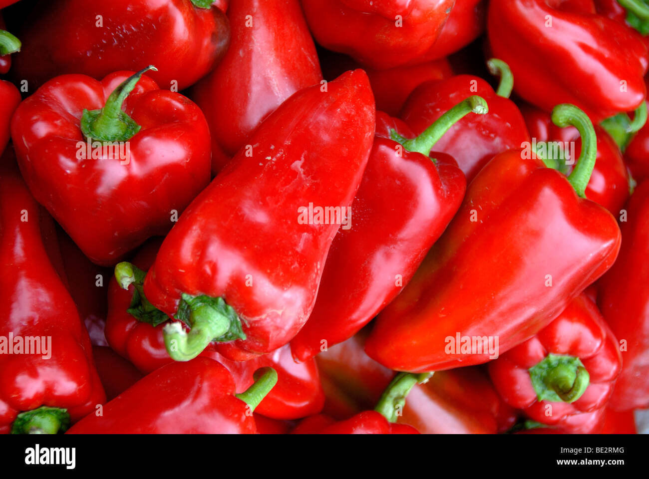 Red pepper (Capsicum) Stock Photo